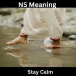 NS Meaning