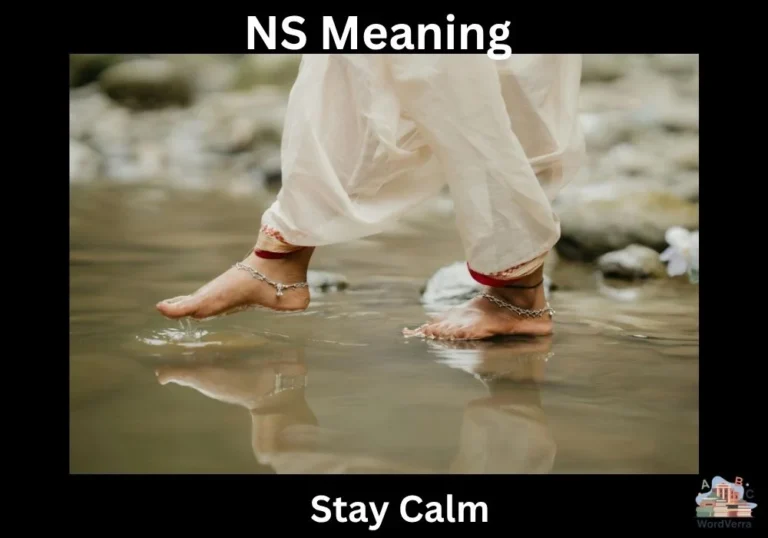 NS Meaning