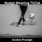 Nudge Meaning TikTok