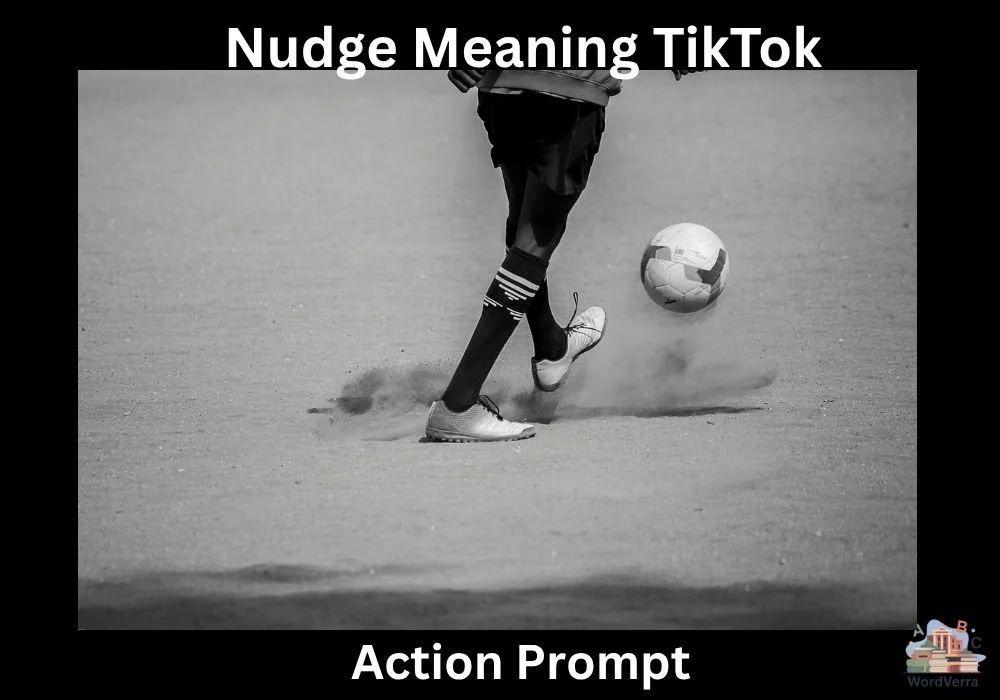 Nudge Meaning TikTok