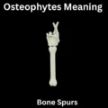 Osteophytes Meaning