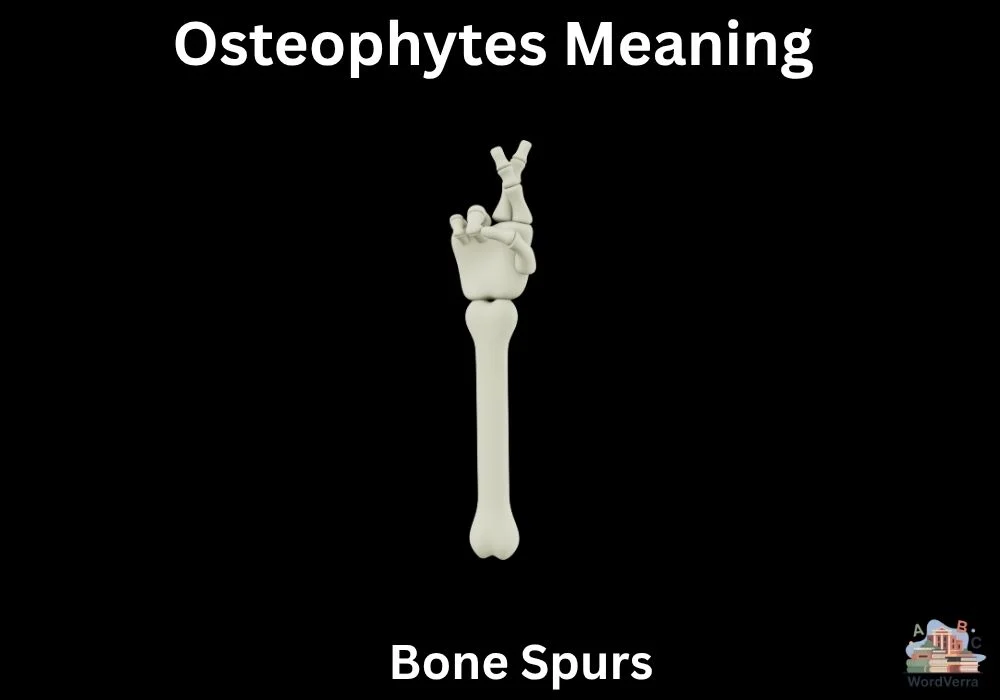 Osteophytes Meaning