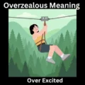 Overzealous Meaning