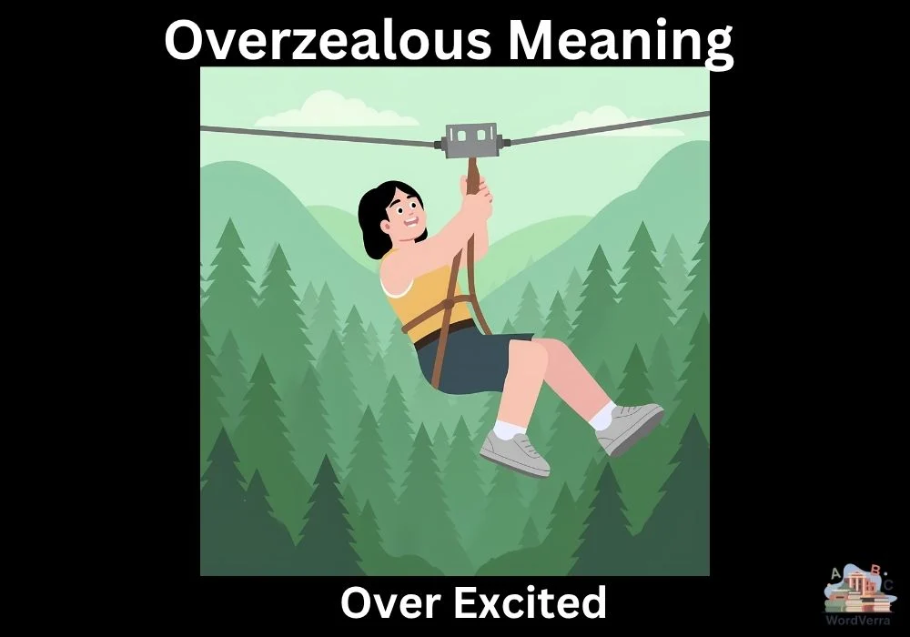 Overzealous Meaning