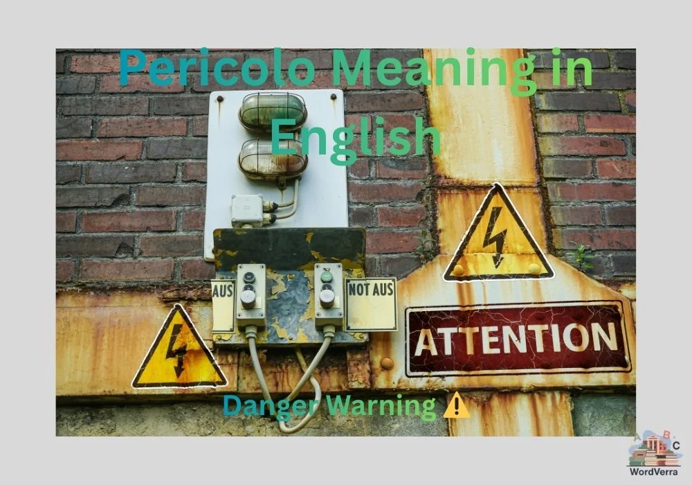 Pericolo Meaning in English