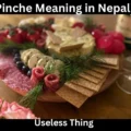 Pinche Meaning in Nepali