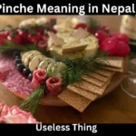 Pinche Meaning in Nepali