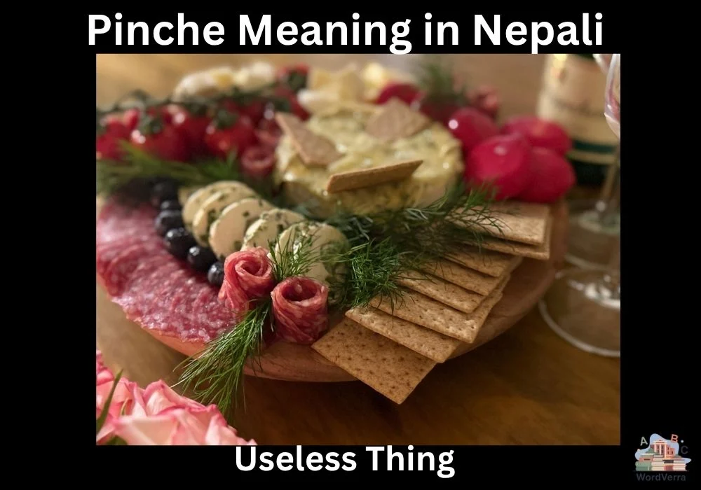 Pinche Meaning in Nepali