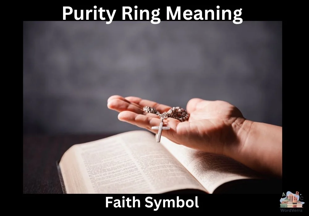 Purity Ring Meaning