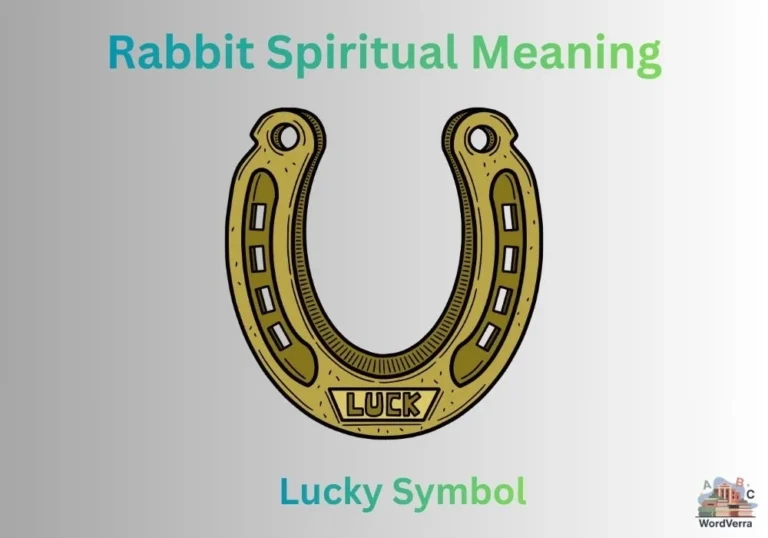 Rabbit Spiritual Meaning