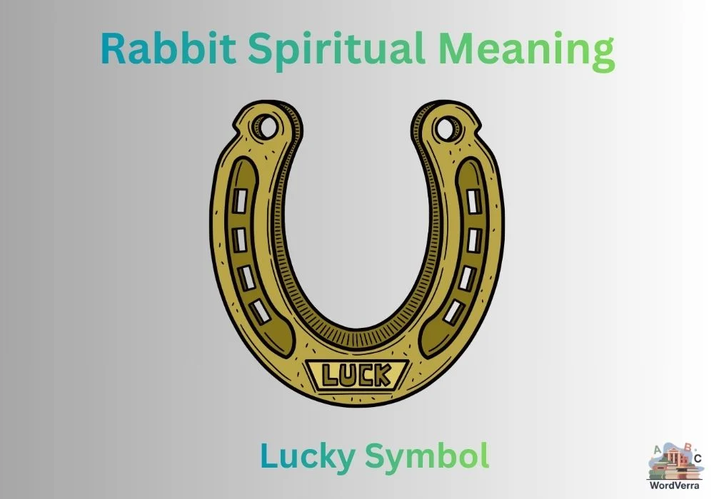 Rabbit Spiritual Meaning
