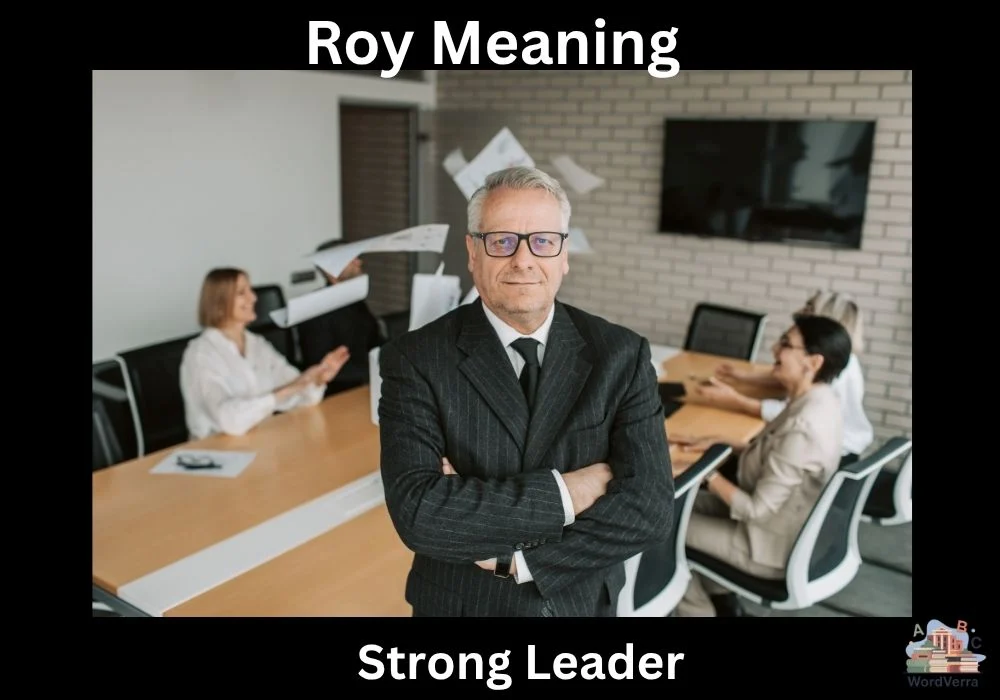 Roy Meaning