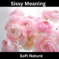 Sissy Meaning