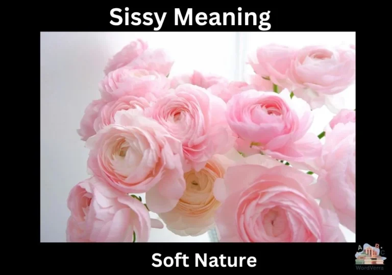 Sissy Meaning
