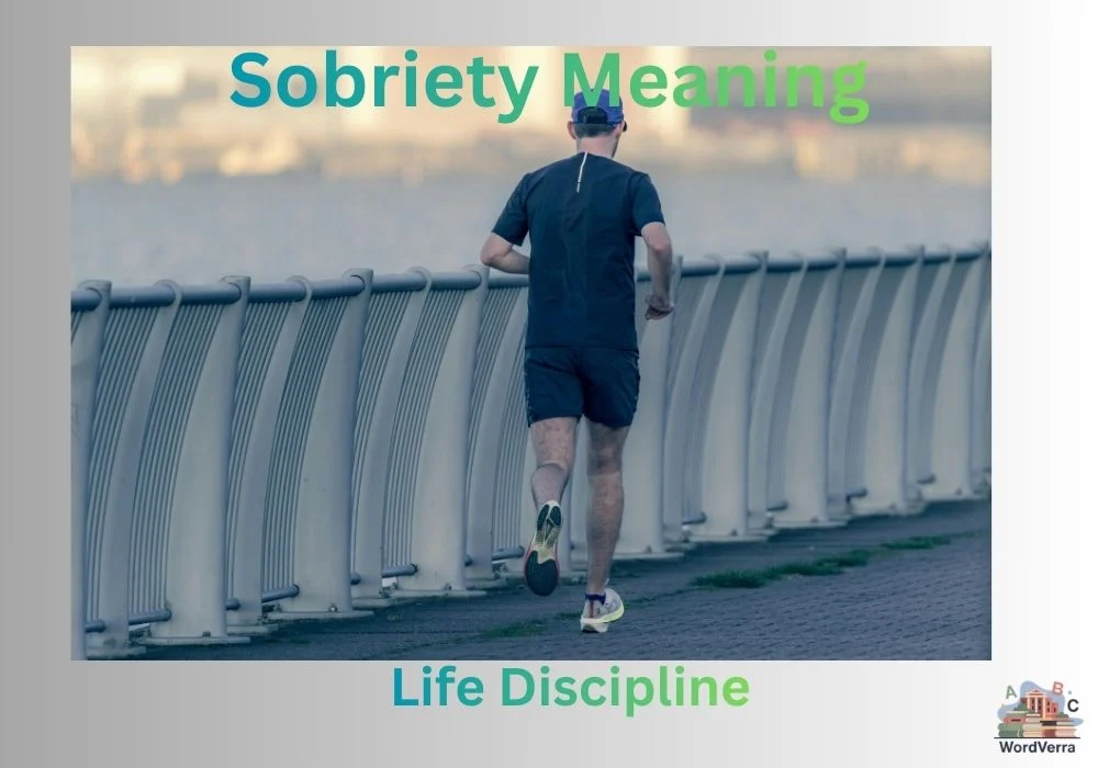 Sobriety Meaning