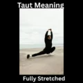Taut Meaning