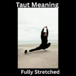 Taut Meaning