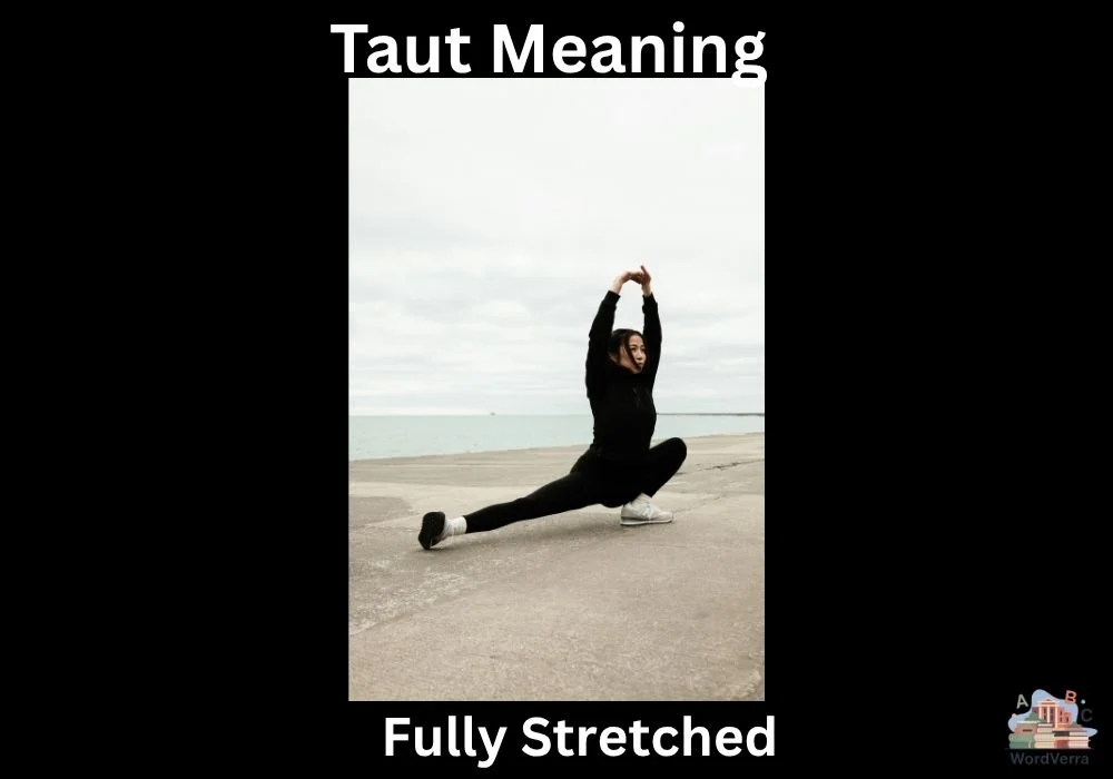 Taut Meaning