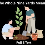 The Whole Nine Yards Meaning