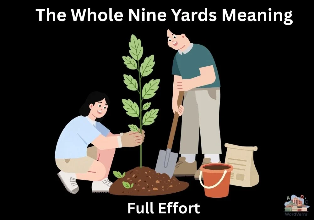 The Whole Nine Yards Meaning