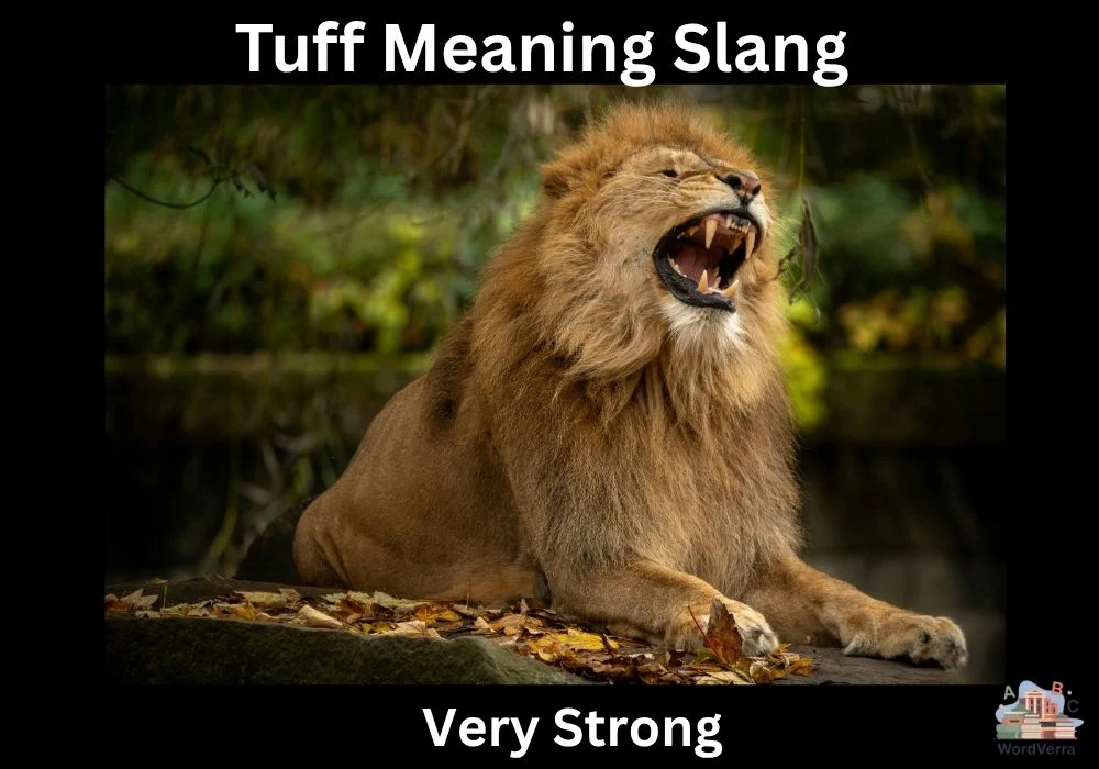 Tuff Meaning Slang
