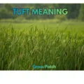 Tuft Meaning