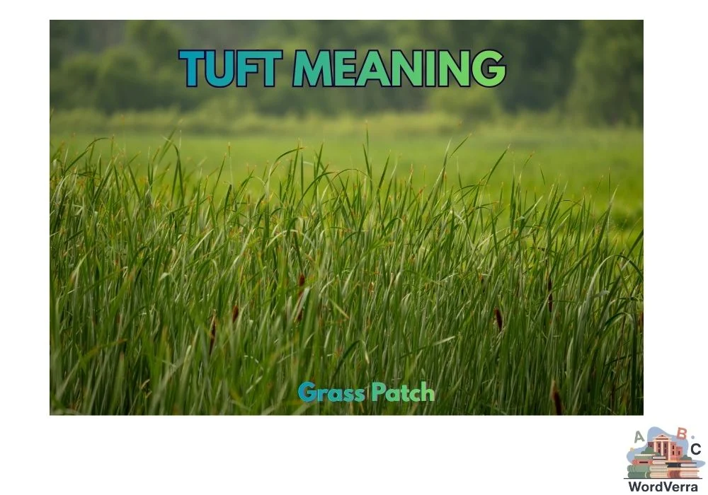 Tuft Meaning