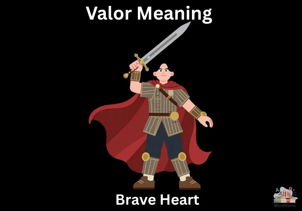 Valor Meaning