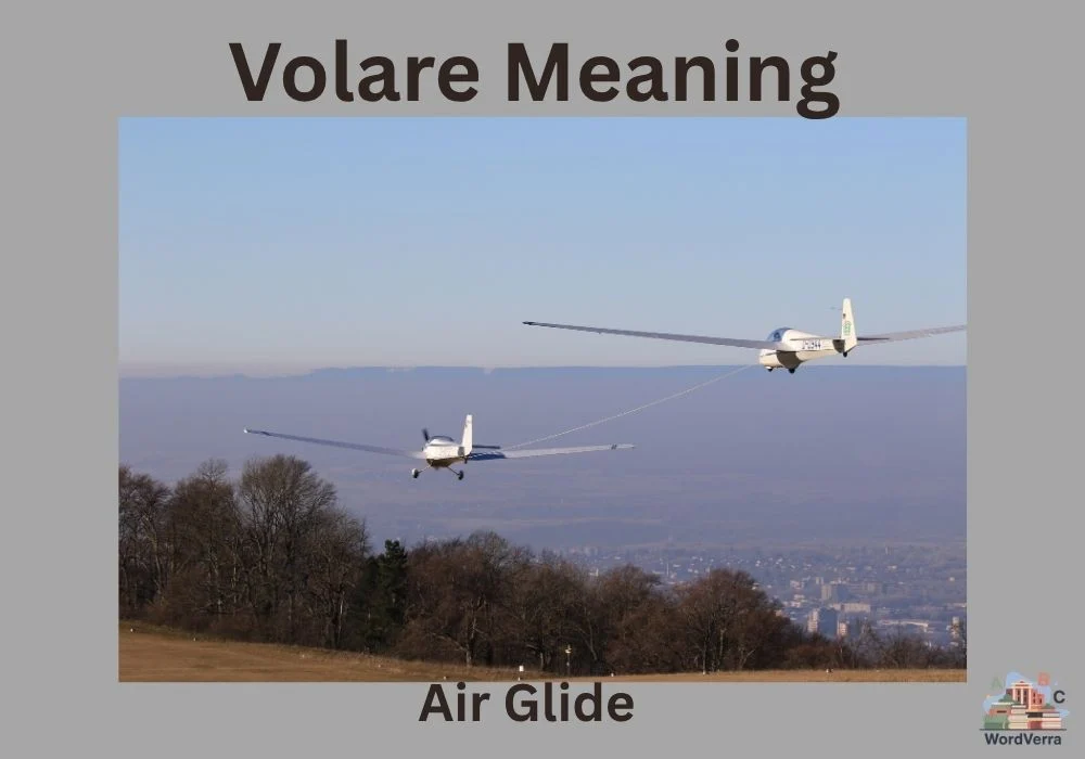 Volare Meaning