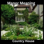 Manor Meaning