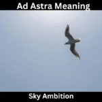 Ad Astra Meaning