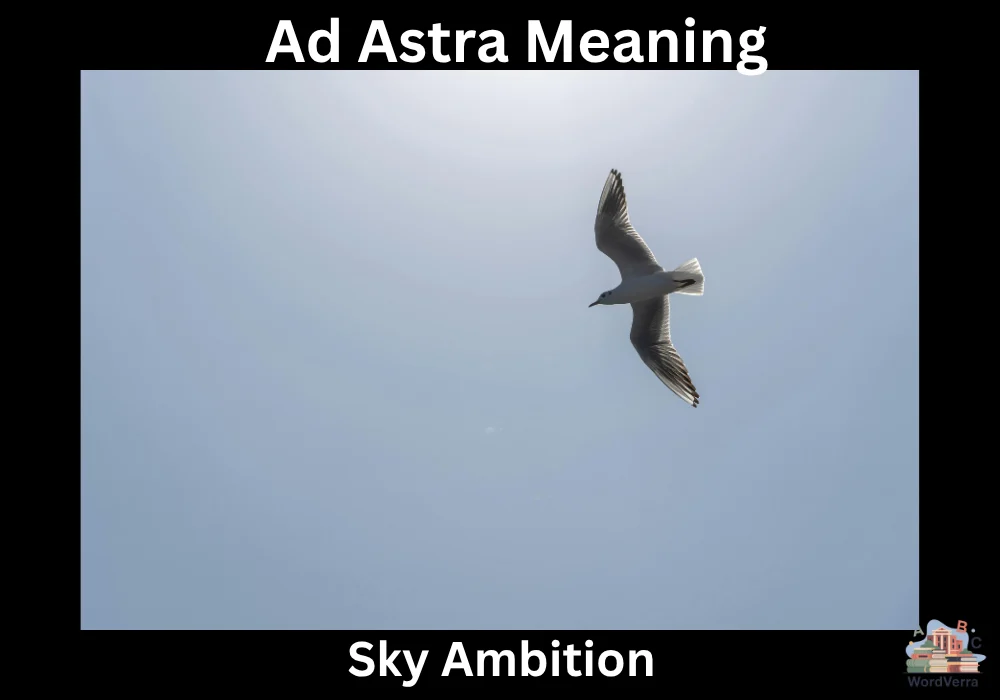 Ad Astra Meaning