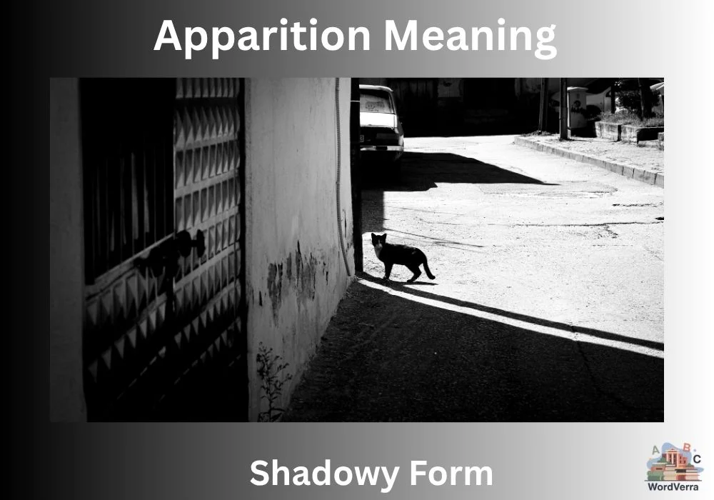 Apparition Meaning