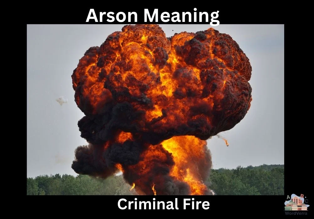 Arson Meaning