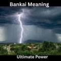 Bankai Meaning