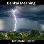 Bankai Meaning