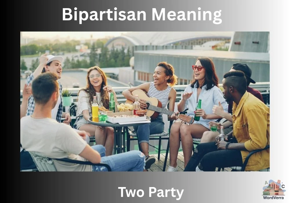 Bipartisan Meaning