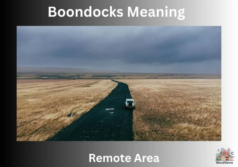 Boondocks Meaning