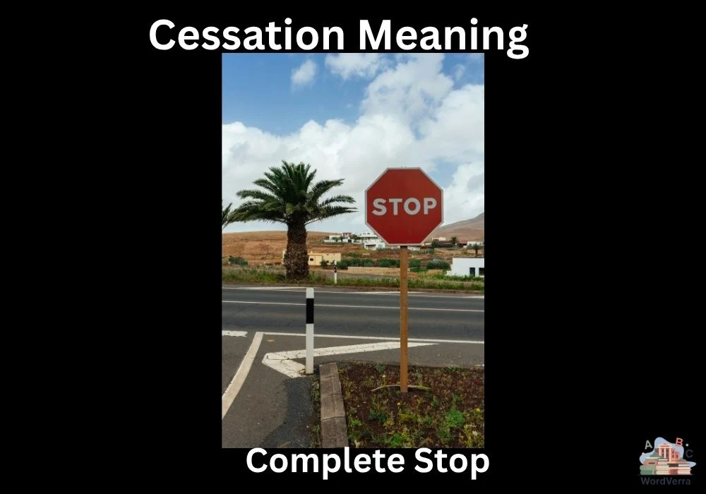 Cessation Meaning