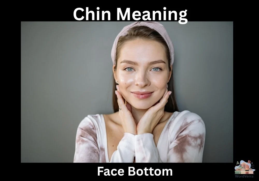 Chin Meaning
