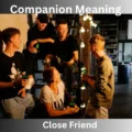 Companion Meaning