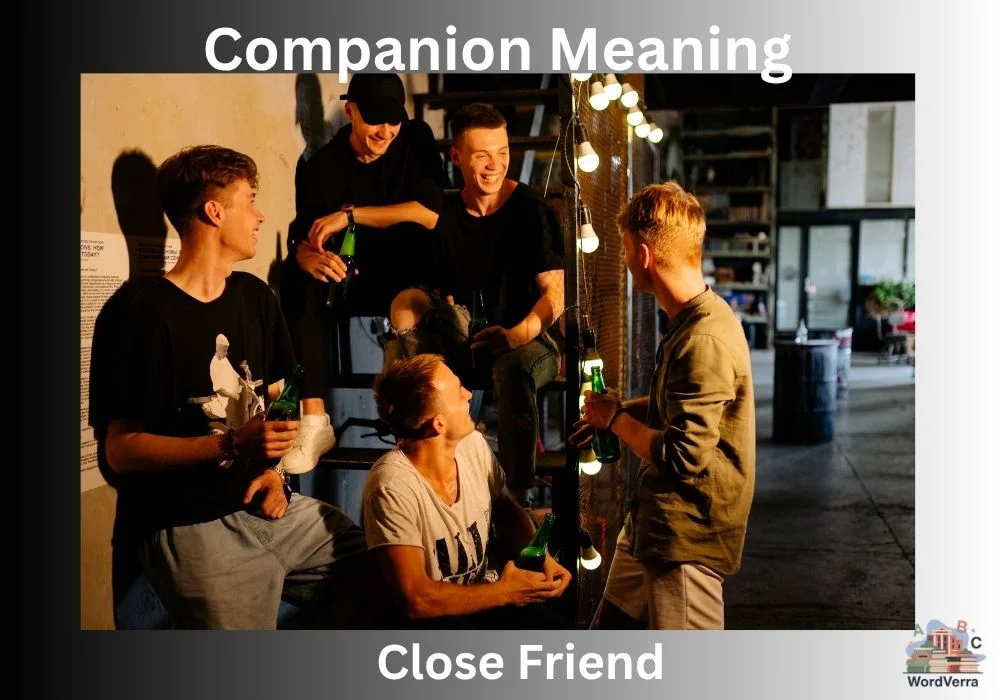 Companion Meaning