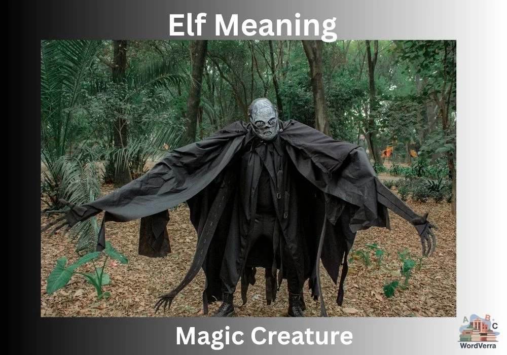 Elf Meaning