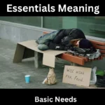 Essentials Meaning