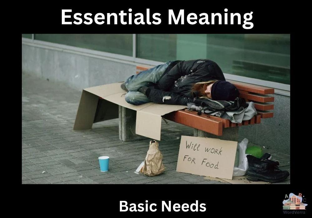 Essentials Meaning