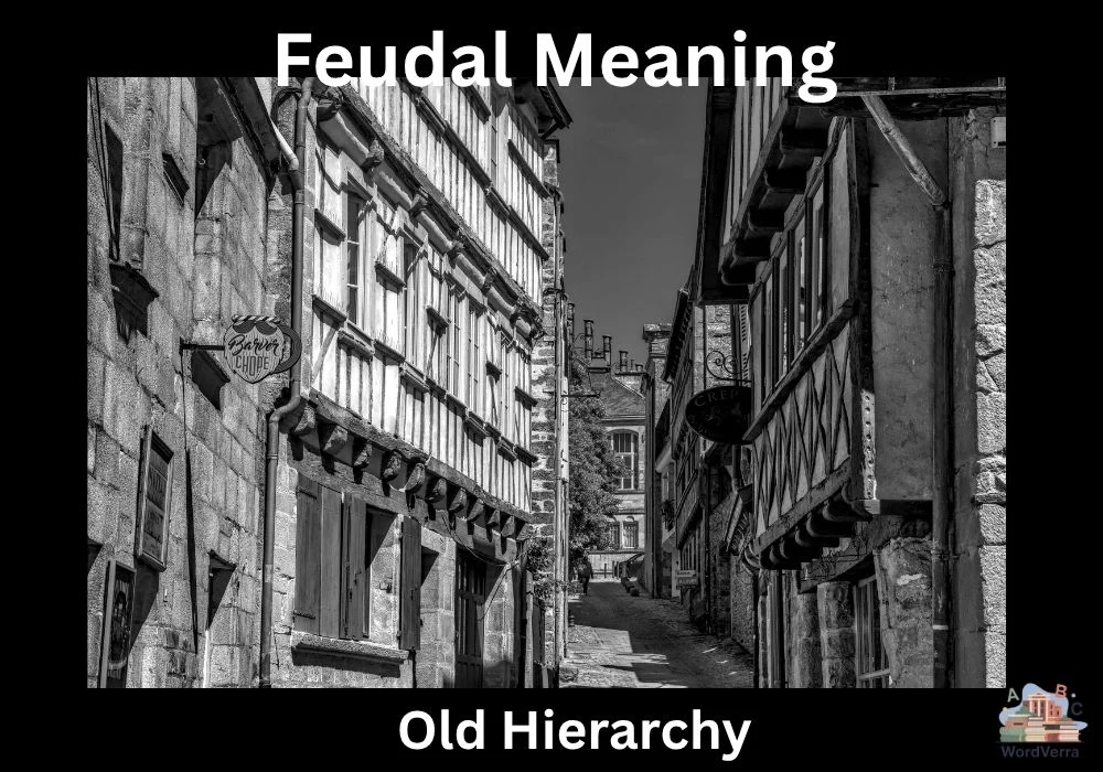 Feudal Meaning