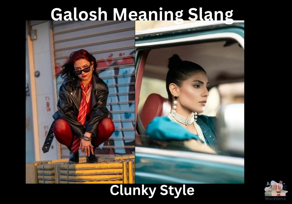 Galosh Meaning Slang