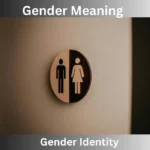 Gender Meaning