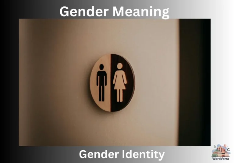 Gender Meaning