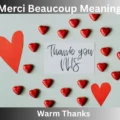 Merci Beaucoup Meaning
